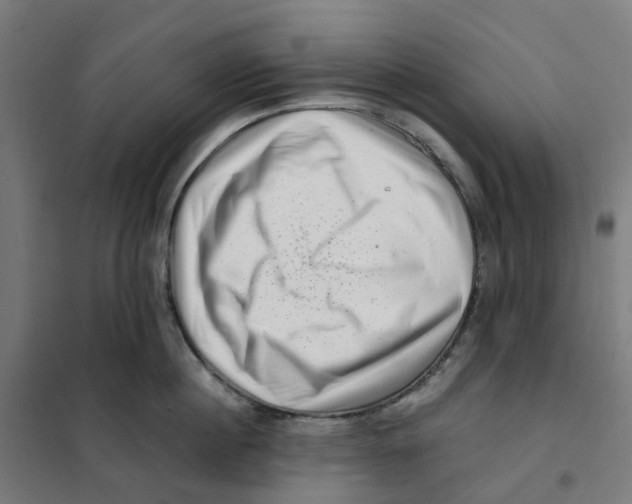 X0000101710860200808071221
