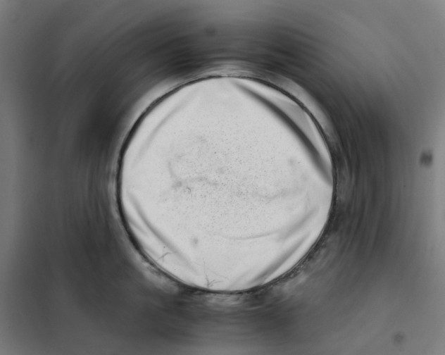 X0000101710861200808071221