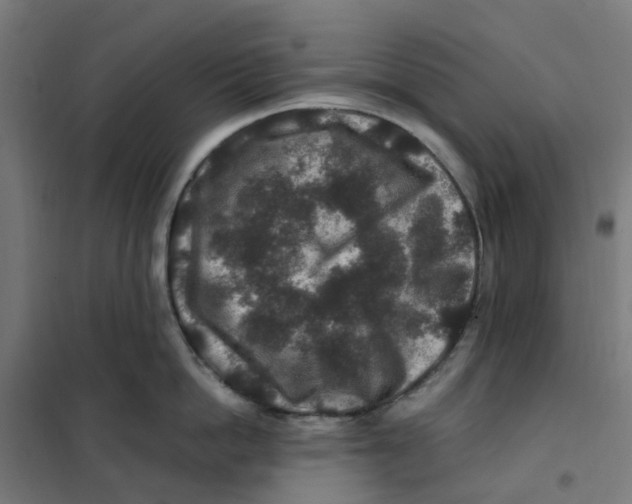 X0000101710862200808071221