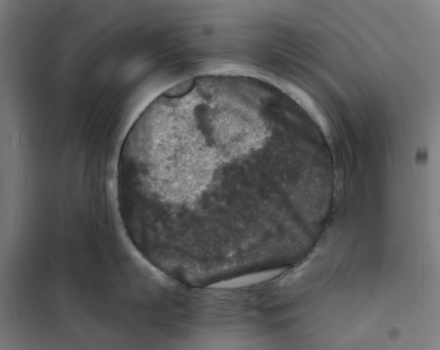 X0000101710863200808071221