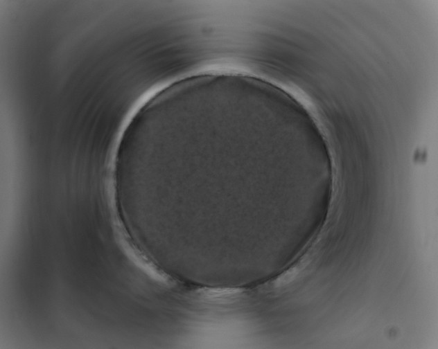X0000101710864200808071221