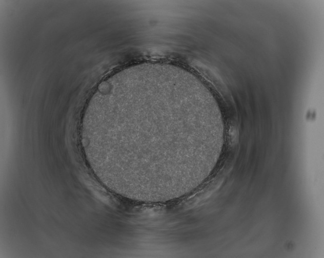 X0000101710865200808071221