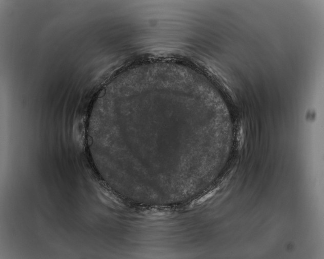 X0000101710868200808071220