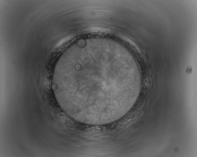 X0000101710869200808071220