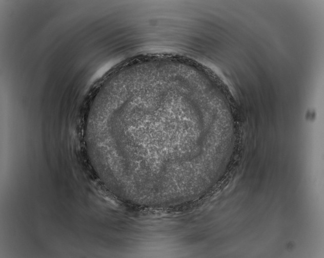 X0000101710871200808071220