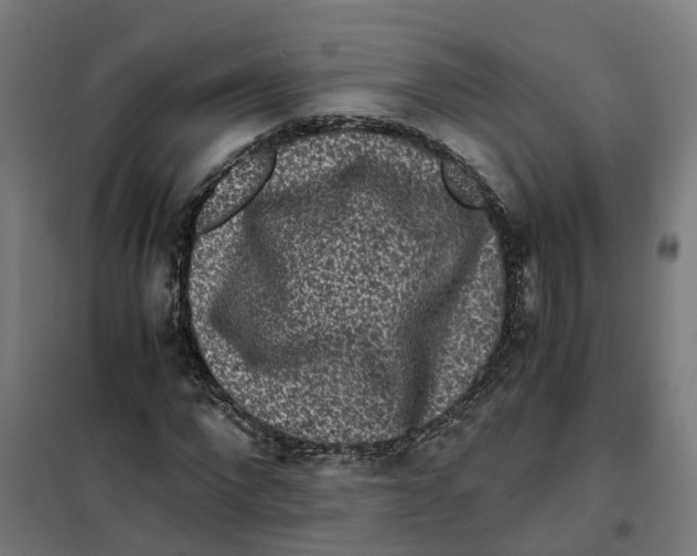 X0000101710872200808071220