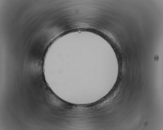 X0000101710873200808071220