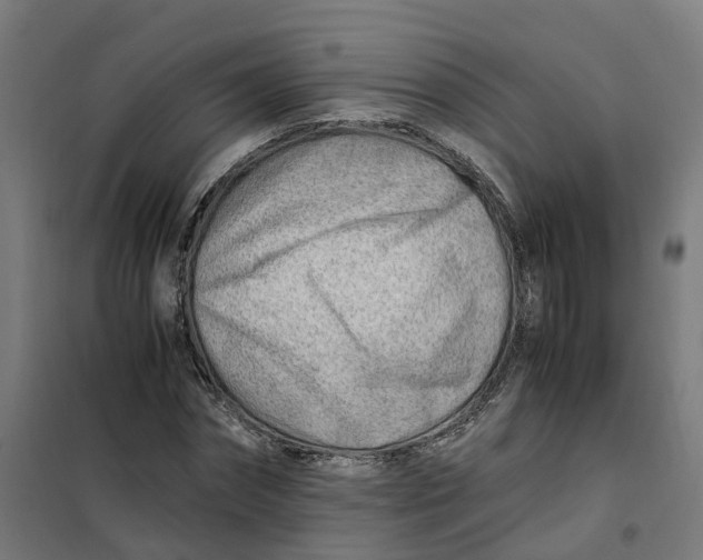 X0000101710874200808071220