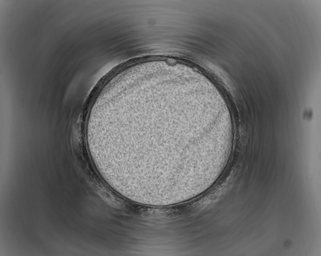 X0000101710875200808071220