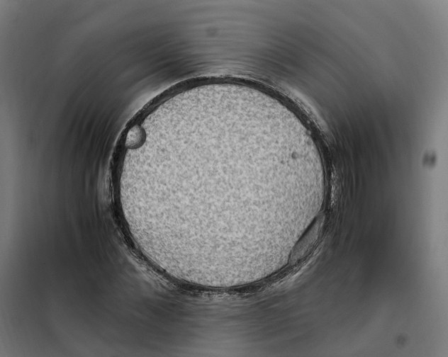 X0000101710876200808071220