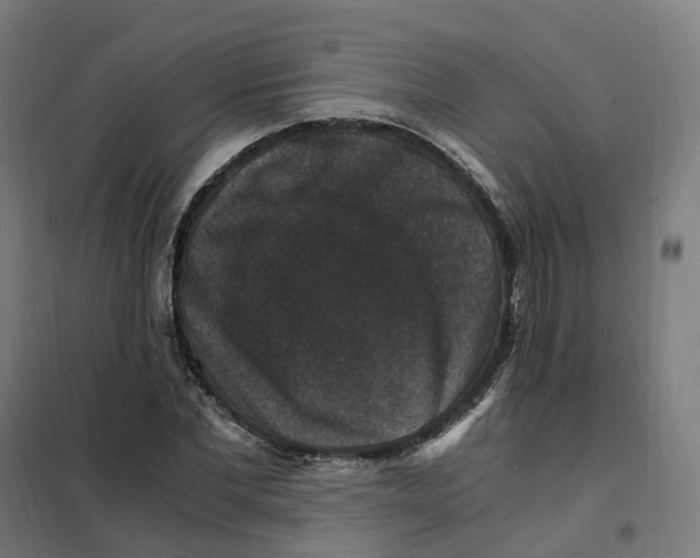 X0000101710877200808071220
