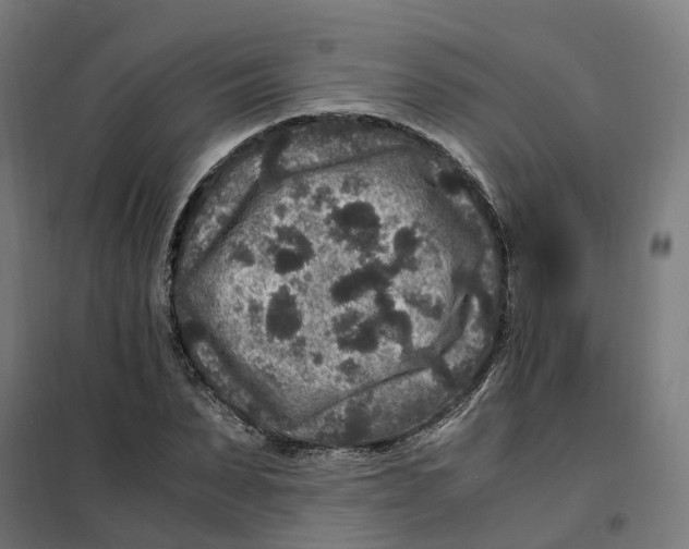 X0000101710879200808071220