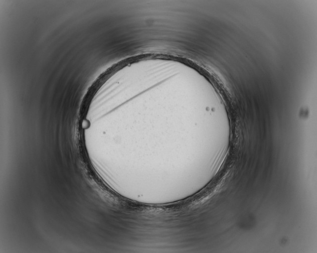 X0000101710880200808071220