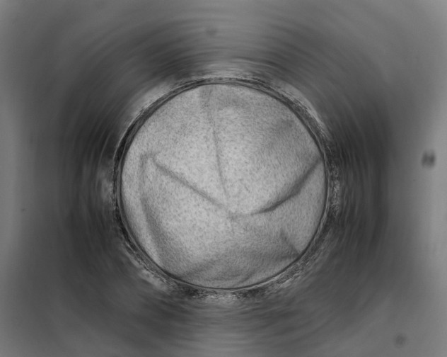 X0000101710882200808071220