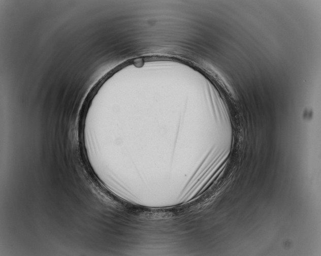 X0000101710884200808071220