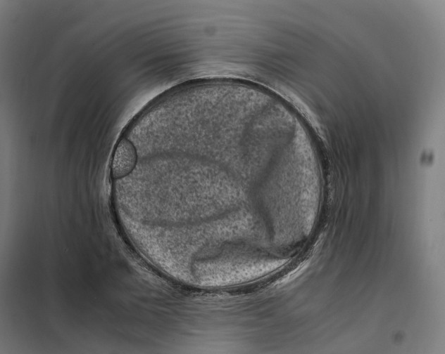 X0000101710885200808071220