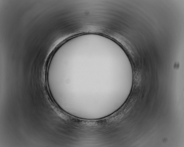 X0000101710886200808071220
