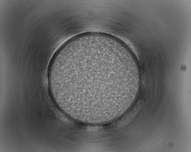 X0000101710887200808071220