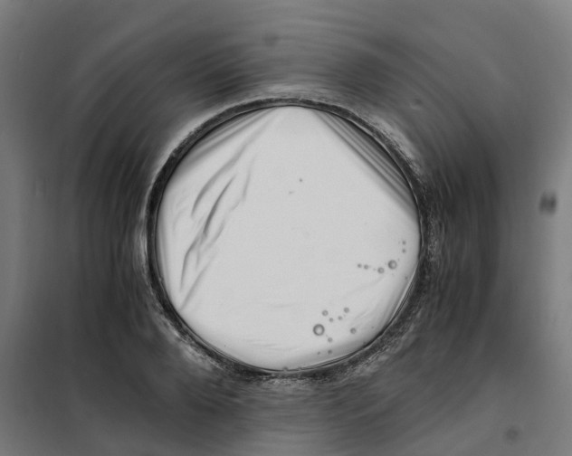 X0000101710888200808071220