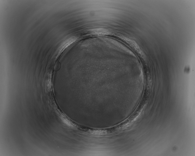 X0000101710889200808071220