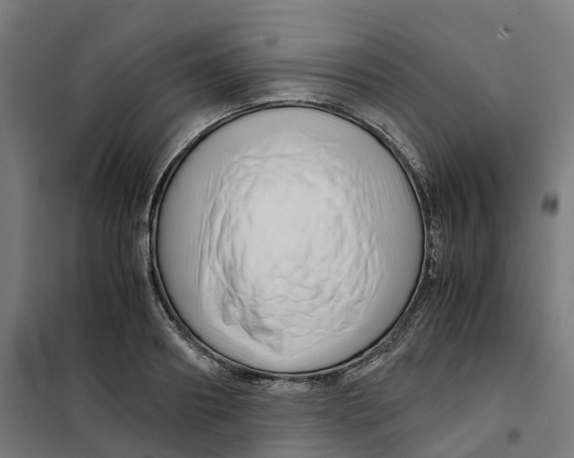 X0000101710890200808071220