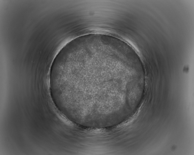 X0000101710891200808071220