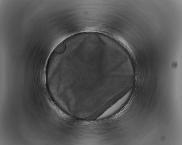 X0000101710892200808071220