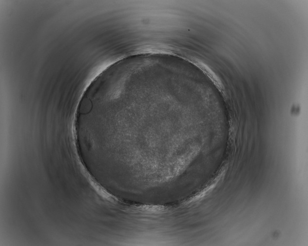 X0000101710893200808071220