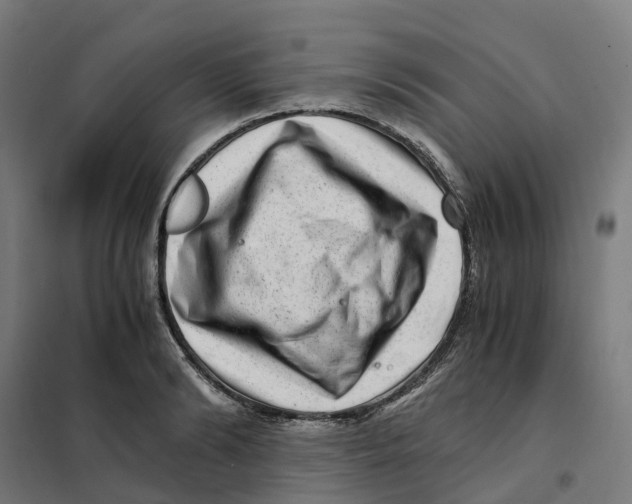 X0000101710894200808071220