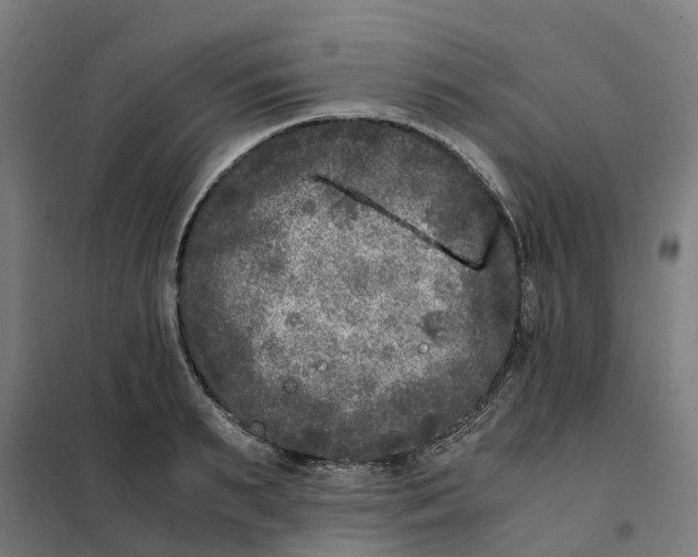 X0000101710895200808071220