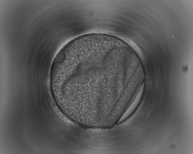 X0000101710896200808071220