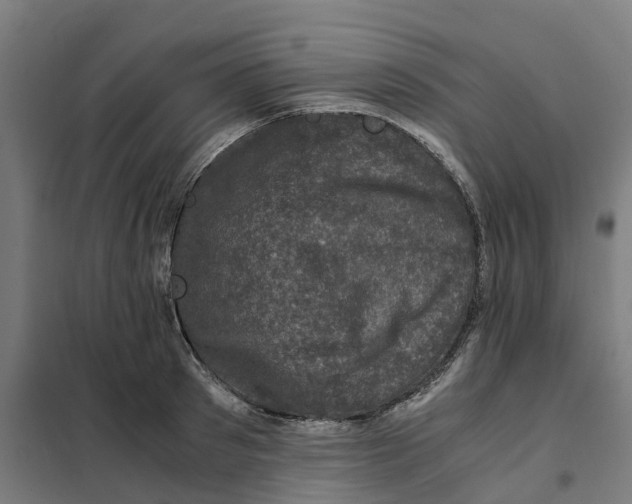 X0000101710897200808071220