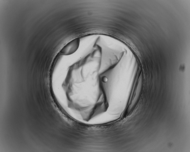 X0000101710898200808071220