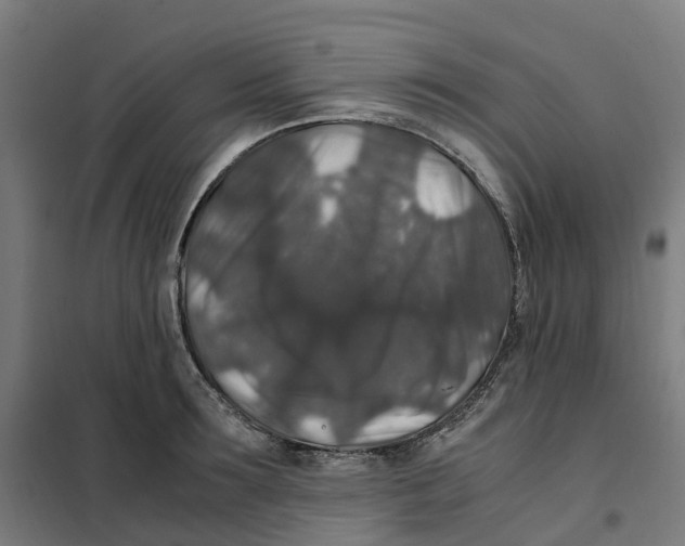 X0000101710899200808071220
