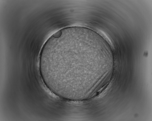 X0000101710900200808071220