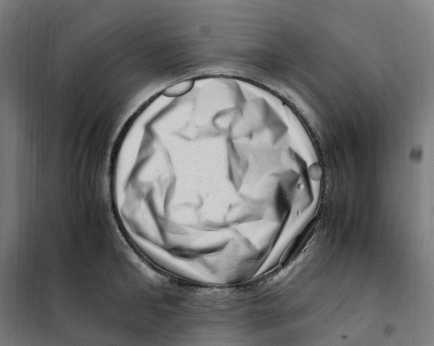 X0000101710902200808071220