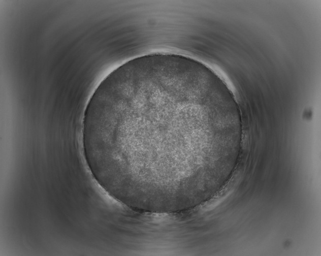 X0000101710903200808071220