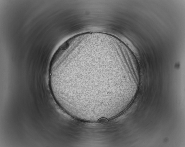 X0000101710904200808071220