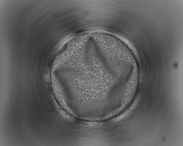 X0000101710905200808071220