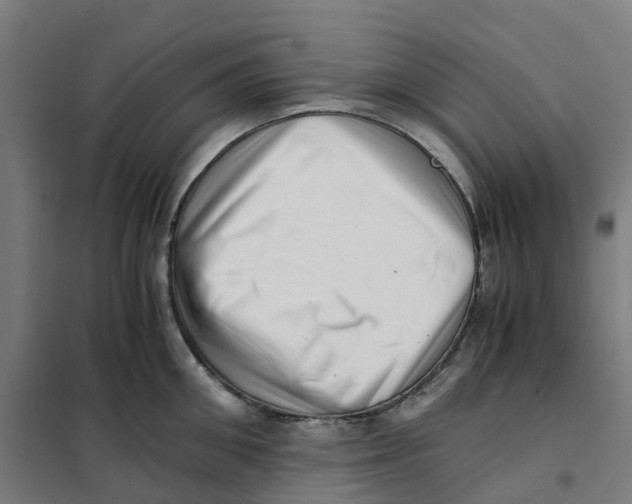 X0000101710906200808071220