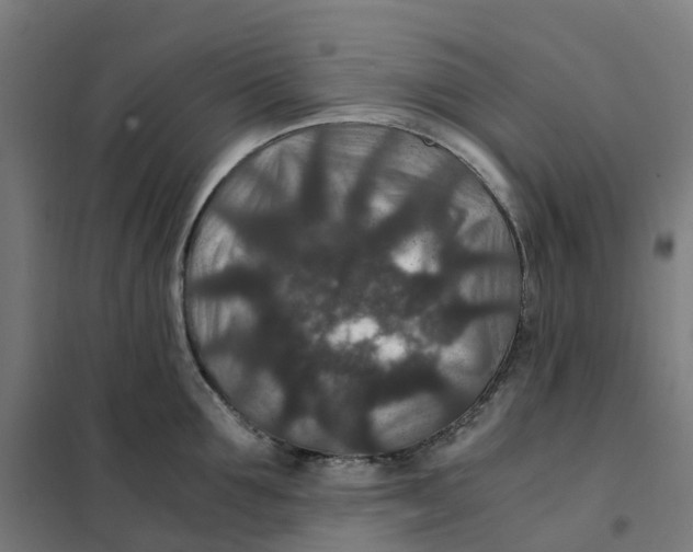 X0000101710907200808071220