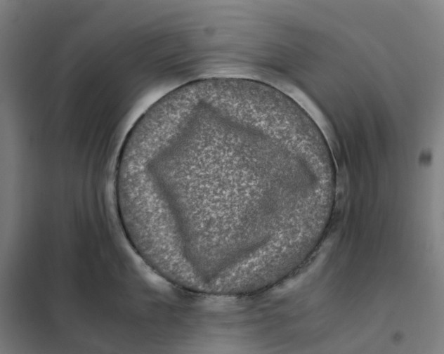 X0000101710909200808071220
