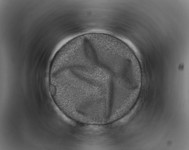 X0000101710910200808071220