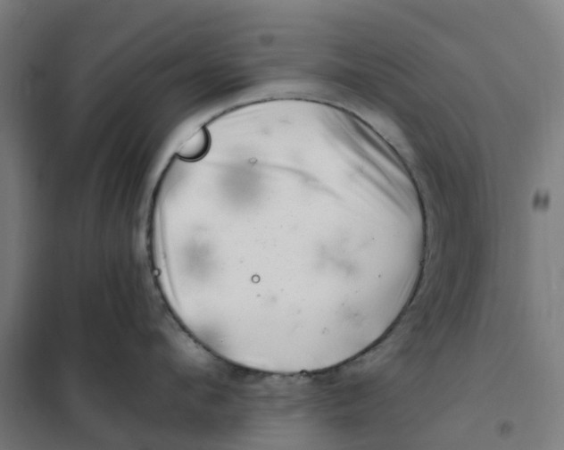 X0000101710912200808071220