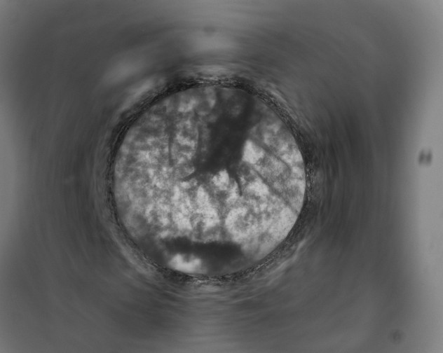 X0000101710913200808071219