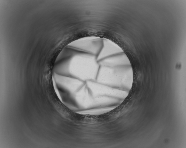 X0000101710914200808071219