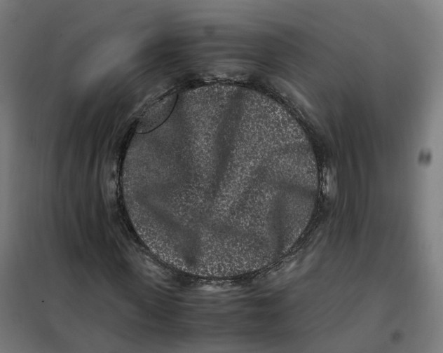 X0000101710915200808071219