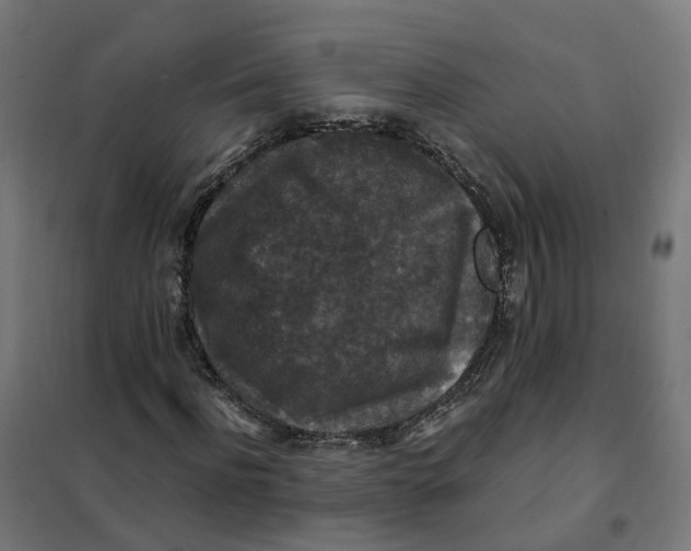 X0000101710916200808071219