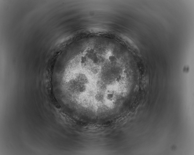 X0000101710917200808071219