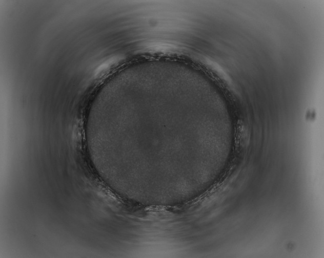 X0000101710918200808071219